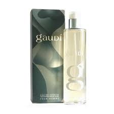 GAUDI POUR HOMME EDT 100 ML REGULAR