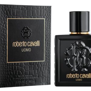 CAVALLI UOMO EDT 100 ML REGULAR