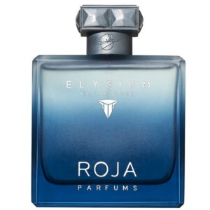 ROJA ELYSIUM EAU INTENSE POUR HOMME EDP 100 ML TESTER # (CAJA GENERICA)