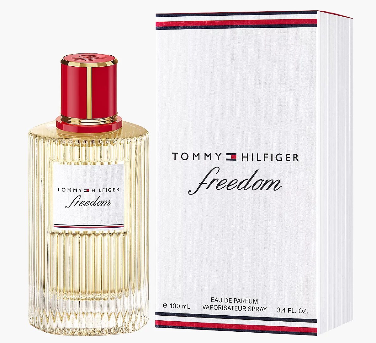 TOMMY HILFIGER FREEDOM MAN EDP 100 ML REGULAR