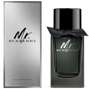 BURBERRY MR BURBERRY MAN EDP 100 ML REGULAR